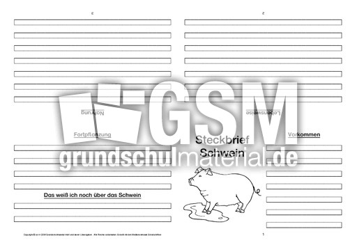 Schwein-Faltbuch-vierseitig-3.pdf